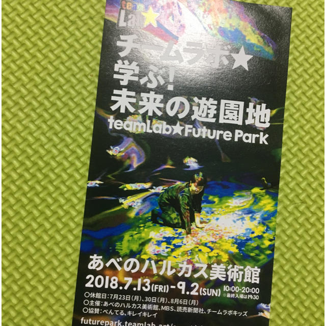 あべのハルカス チームラボ 未来の遊園地☆1枚 チケットの施設利用券(遊園地/テーマパーク)の商品写真