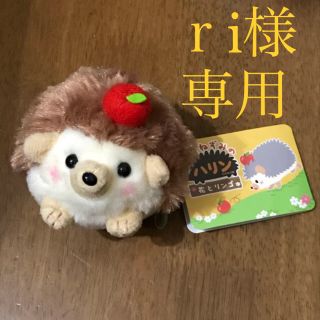 はりねずみのハリン  ぬいぐるみキーホルダー(ぬいぐるみ)