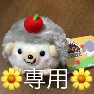 はりねずみのハリン  ぬいぐるみキーホルダー(ぬいぐるみ)