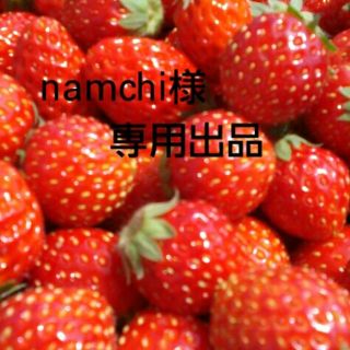 namchi様専用ページ(その他)
