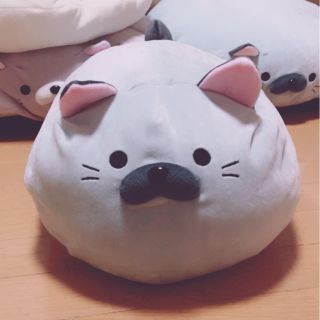 ドウシシャ(ドウシシャ)のごろねこサミット❥ヤマダ(ぬいぐるみ)