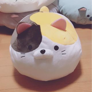 ドウシシャ(ドウシシャ)のごろねこサミット❥ニノミヤ(ぬいぐるみ)