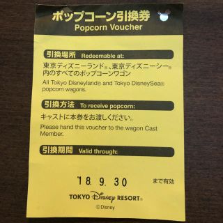 ディズニー(Disney)のぷる 様 専用 東京ディズニーリゾート ポップコーン 引換券(フード/ドリンク券)