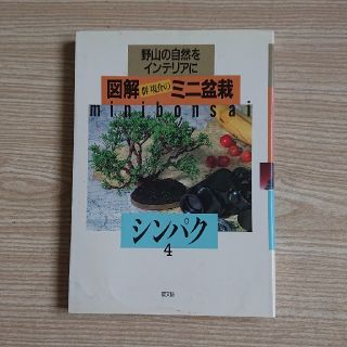 図解群境介のミニ盆栽(その他)