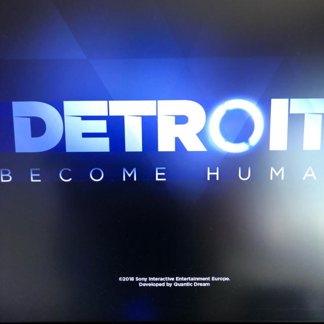 PlayStation4(プレイステーション4)の【PS4】DETROIT BECOME HUMAN【美品・コード有】 エンタメ/ホビーのゲームソフト/ゲーム機本体(家庭用ゲームソフト)の商品写真