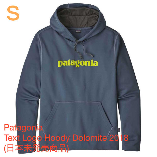 Patagonia Text Logo Hoody