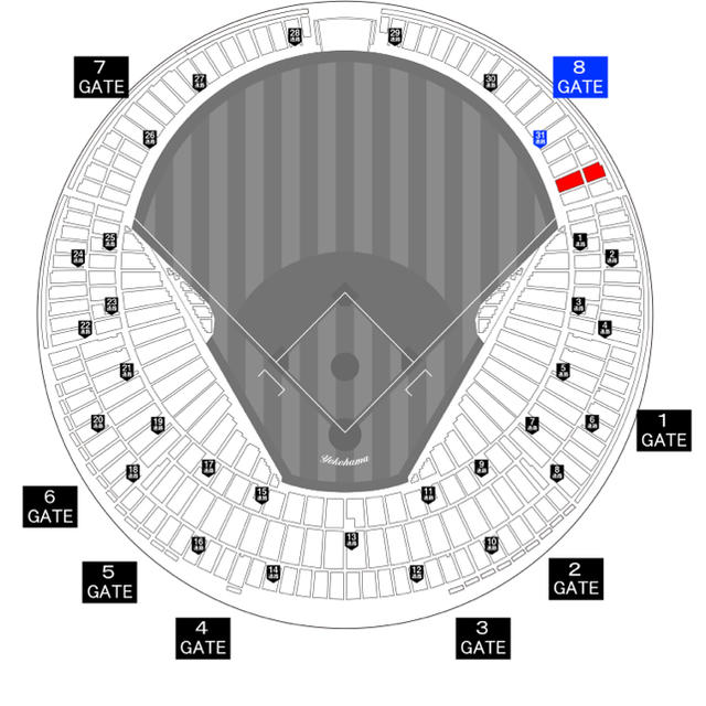 横浜DeNAベイスターズ(ヨコハマディーエヌエーベイスターズ)のスターナイト  8/2 ホーム外野指定席 スポーツ/アウトドアの野球(その他)の商品写真