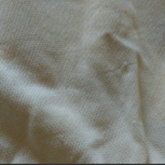 axes femme(アクシーズファム)のポロシャツ レディースのトップス(ポロシャツ)の商品写真