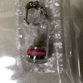 シュプリーム(Supreme)のsupreme サボテン キーホルダー(キーホルダー)