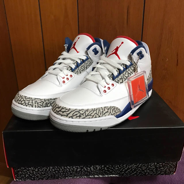 NIKE(ナイキ)のNIKE AIR JORDAN 3 aj3 true blue 27cm メンズの靴/シューズ(スニーカー)の商品写真