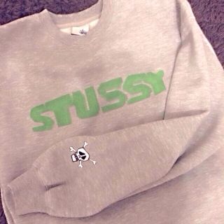 ステューシー(STUSSY)の裏起毛3Ｄ文字トレーナー(パーカー)