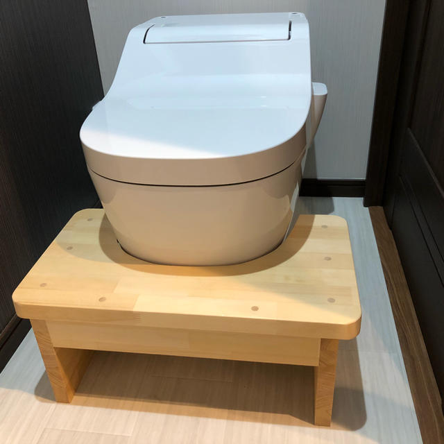 Panasonic アラウーノ トイレ 踏み台 パナソニック 撥水塗装