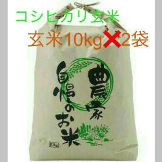 8月3日発送29年度滋賀のコシヒカリ玄米20kg　10kg✖2袋お米送込  (米/穀物)