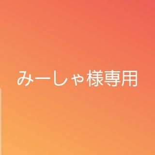 みーしゃ様専用(その他)