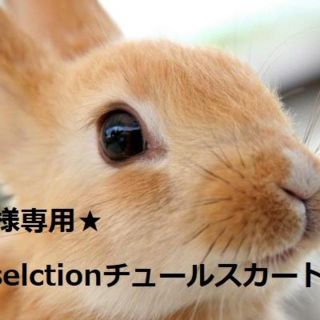 ウィルセレクション(WILLSELECTION)の★ゆ様専用★ウィルセレクション WILLSELECTION チュールスカート(ひざ丈スカート)