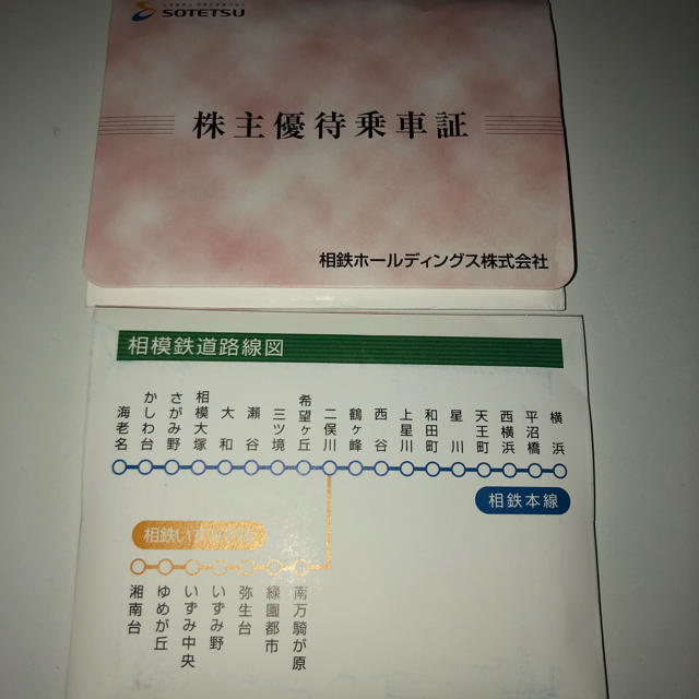 相鉄株主優待乗車券50枚 簡易書留発送 2