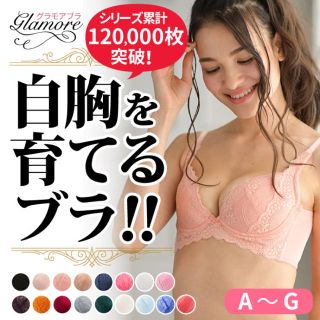 【kino様専用】美胸を育てる☆新品☆グラモアブラ&ショーツのセット(ブラ&ショーツセット)