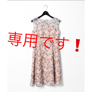 グレースコンチネンタル(GRACE CONTINENTAL)のお値下げ中❗️新品・新作ドレス♡(ミディアムドレス)