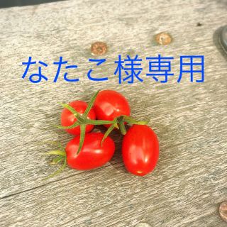 ヴェラウォン チェルシーの通販 15点 | Vera Wangを買うならラクマ