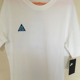 ナイキ(NIKE)のsane様専用 acg L(Tシャツ/カットソー(半袖/袖なし))