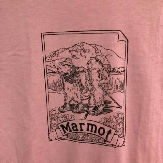 マーモット(MARMOT)のMARMOT   マーモット　新品　Tシャツ(Tシャツ(半袖/袖なし))