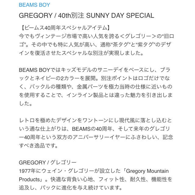 GREGORY グレゴリー40th別注 SUNNY DAY サニーデイ　リュック