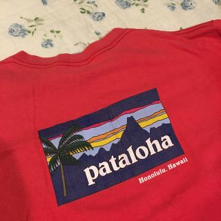 パタゴニア(patagonia)のvintage Tシャツ(Tシャツ(半袖/袖なし))