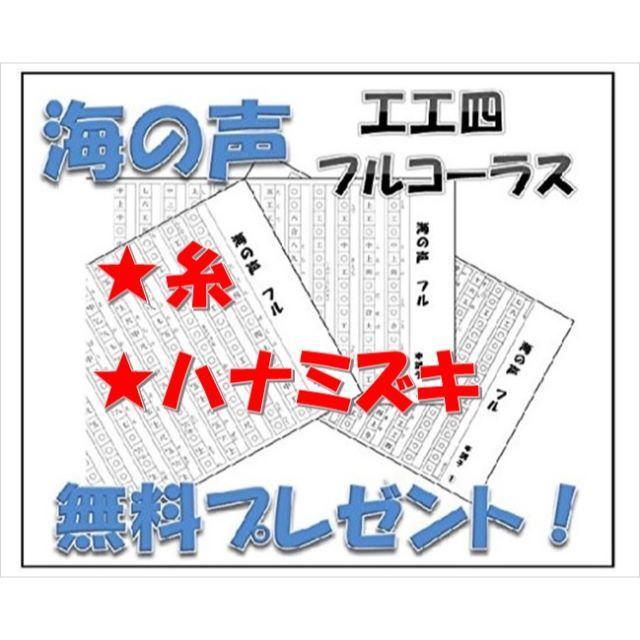 三線　初心者用12点セット+チューナー　独学OK　5年保証　米須三線店 楽器の和楽器(三線)の商品写真