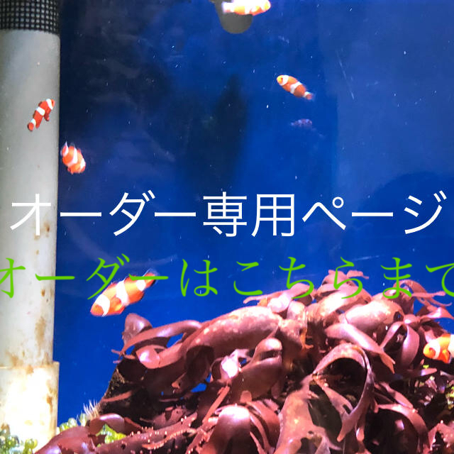 2022年レディースファッション福袋 オーダーはこちらまで。 その他 2022年レディースファッション福袋 オーダーはこちらまで。 その他