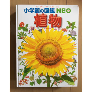 ショウガクカン(小学館)の図鑑NEO 植物 小学館(語学/参考書)