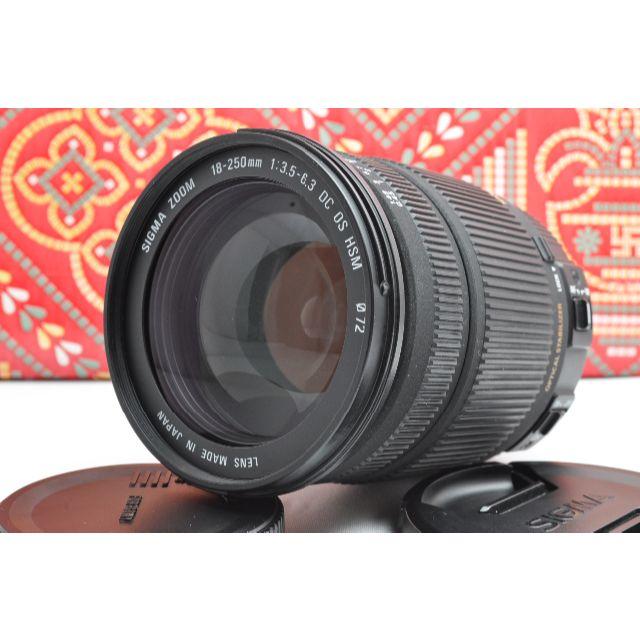 20800 円 お買い得！ MACRO SIGMA シグマ キヤノン用 18-250mm DC F3.5