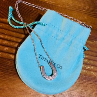 ティファニー(Tiffany & Co.)のティファニー／レア★ホースシューネックレス(ネックレス)