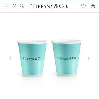 TIFFANY ティファニー ボーンチャイナ ペーパーカップ ペア