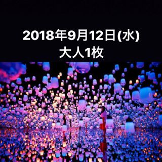 チームラボボーダレス 9/12 大人1枚(美術館/博物館)