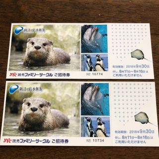 新江ノ島水族館ご招待券 2枚(水族館)