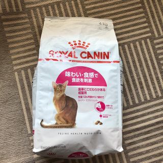 ロイヤルカナン(ROYAL CANIN)のロイヤルカナン エクシジェント 4kg(ペットフード)