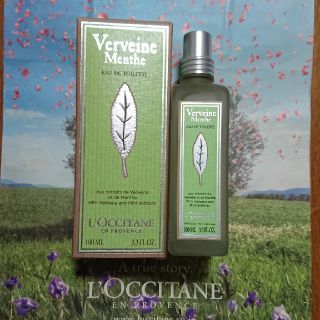 ロクシタン(L'OCCITANE)のロクシタン ミントヴァーベナ オードトワレ 100ml 限定品 新品(ユニセックス)