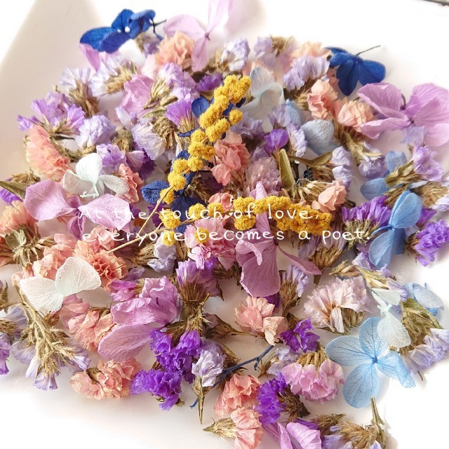 お買い得✨たっぷり入った♡ドライフラワー　スターチス　プリザ紫陽花　花びらパック ハンドメイドのフラワー/ガーデン(ドライフラワー)の商品写真