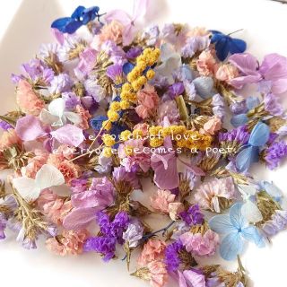 お買い得✨たっぷり入った♡ドライフラワー　スターチス　プリザ紫陽花　花びらパック(ドライフラワー)