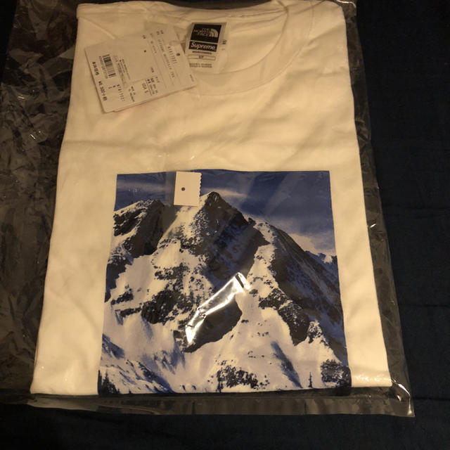 supreme the north face mountain tee sサイズ