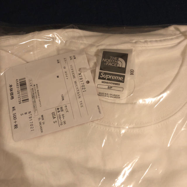 supreme the north face mountain tee sサイズ