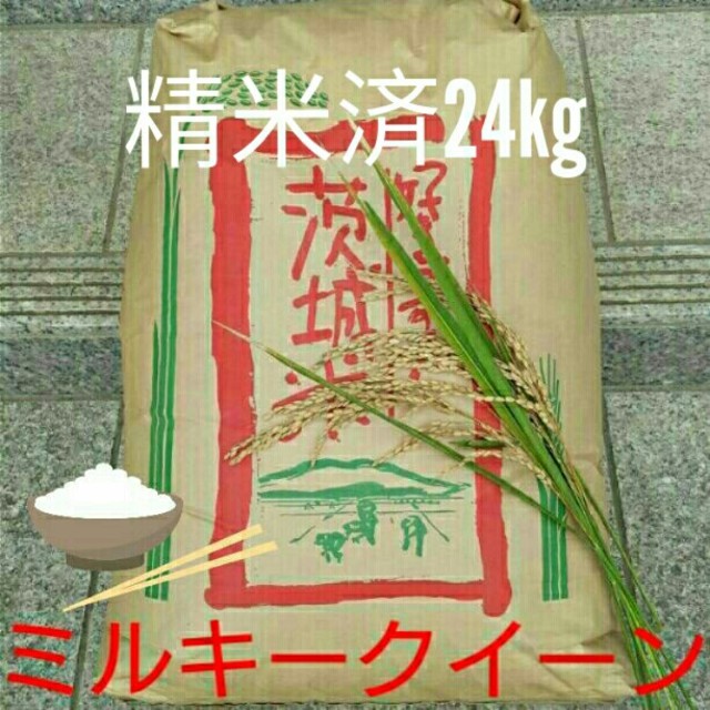 YoRin様専用です(^-^)ミルキークイーン精米済24kg | imt.gov.zw