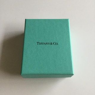 ティファニー(Tiffany & Co.)のTiffany&Co. ☆アクセサリーボックス/B(その他)