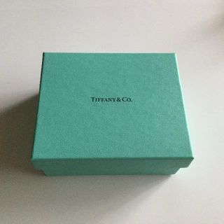 ティファニー(Tiffany & Co.)のTiffany&Co.☆アクセサリーボックス/I(その他)