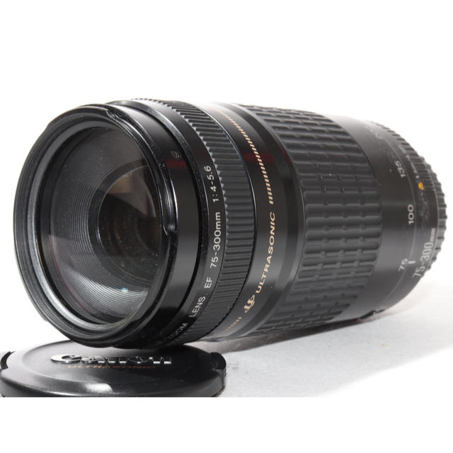 ⭐遠くの撮影もバッチリ⭐Canon 75-300mm 大迫力の超望遠レンズ | wic
