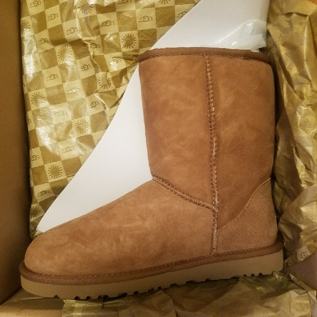 UGG W CLASSIC SHORT