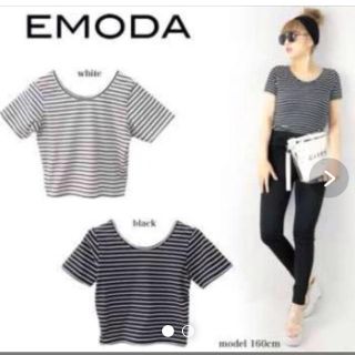 エモダ(EMODA)のEMODAボーダーショート丈トップス(Tシャツ(半袖/袖なし))