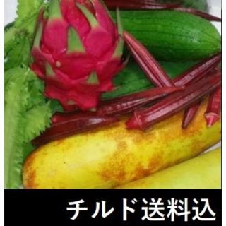 チルド送料込　２２品 島野菜＆果物セット　ドラゴンフルーツ・ゴーヤ・四角豆等(野菜)