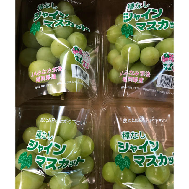 福岡県産 シャインマスカット 4パック 食品/飲料/酒の食品(フルーツ)の商品写真