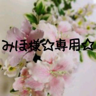 みほ様☆専用☆(つけ爪/ネイルチップ)